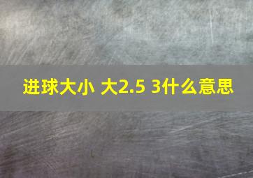 进球大小 大2.5 3什么意思